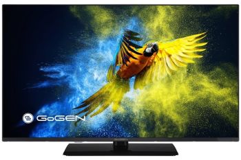 GOGEN TVF43M340STWEB